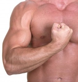 hardgainer bodybuilding